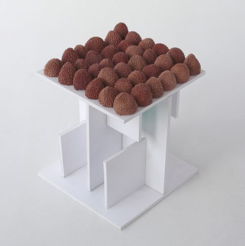 The Structure of the White/S-4.2, pvc, shells of Lychee fruits, 21x18x17cm, 2019