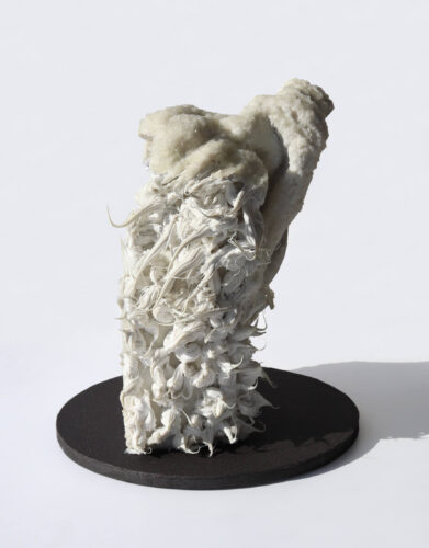 Botanikus Biały, papier, klej, masy plastyczne, 27 x 18 x 20 cm, 2024