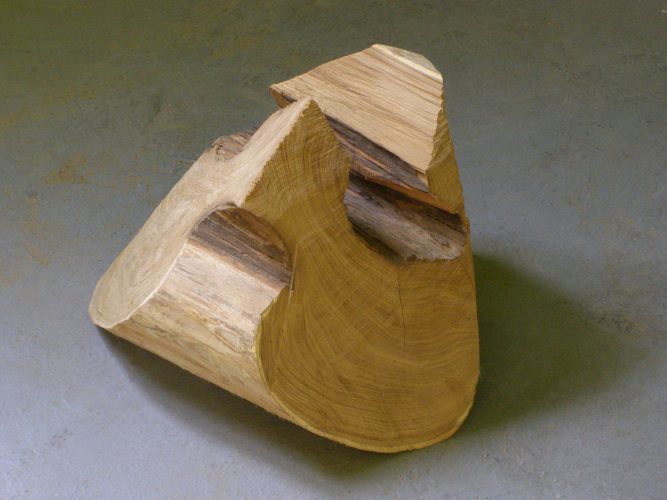 bez tytułu/Esencjon,  drewno, 2009