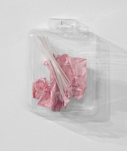 bez tytułu/Kwiat,  papier, pcv, plastikowe opakowanie, 20x15x5 cm, 2015