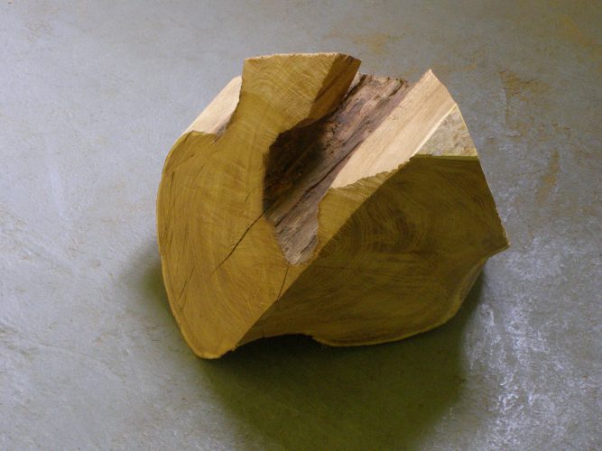 no title/Esencjon,  wood, 2009