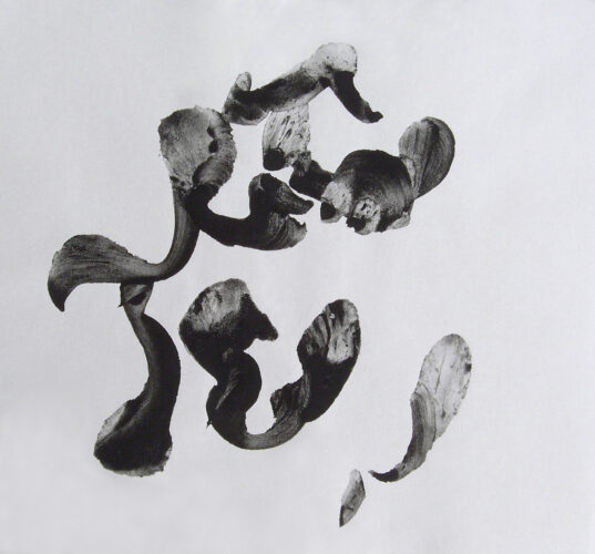 untitled, charcoal on paper, 19x20 cm, 2002