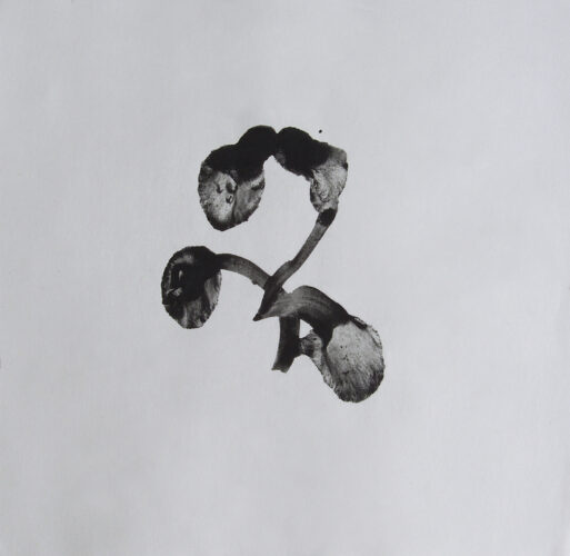 untitled, charcoal on paper, 20x19 cm, 2002